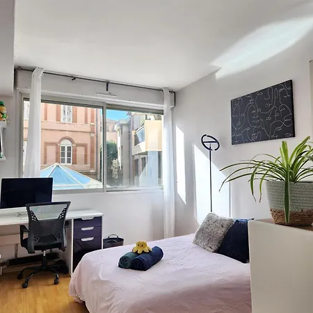 - Cosy - Hypercentre Appartement Toulouse