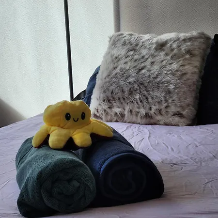 - Cosy - Hypercentre Appartement